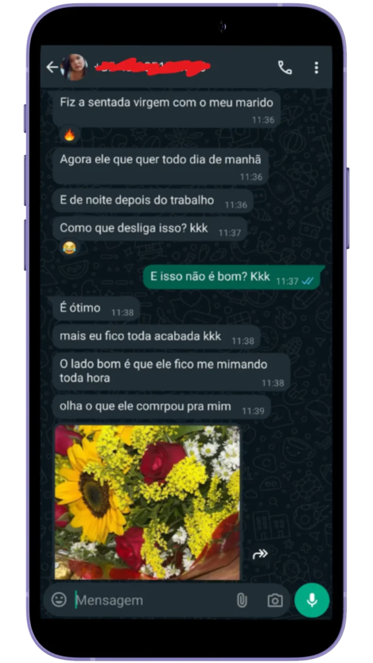 SV PROVAS-PDP-8-864x1536.png